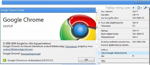 3.google chrome update